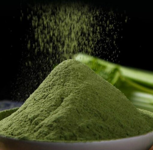 celery powder
