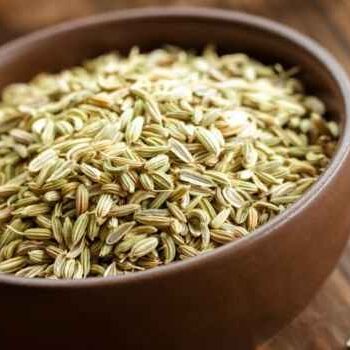 fennel seeds2